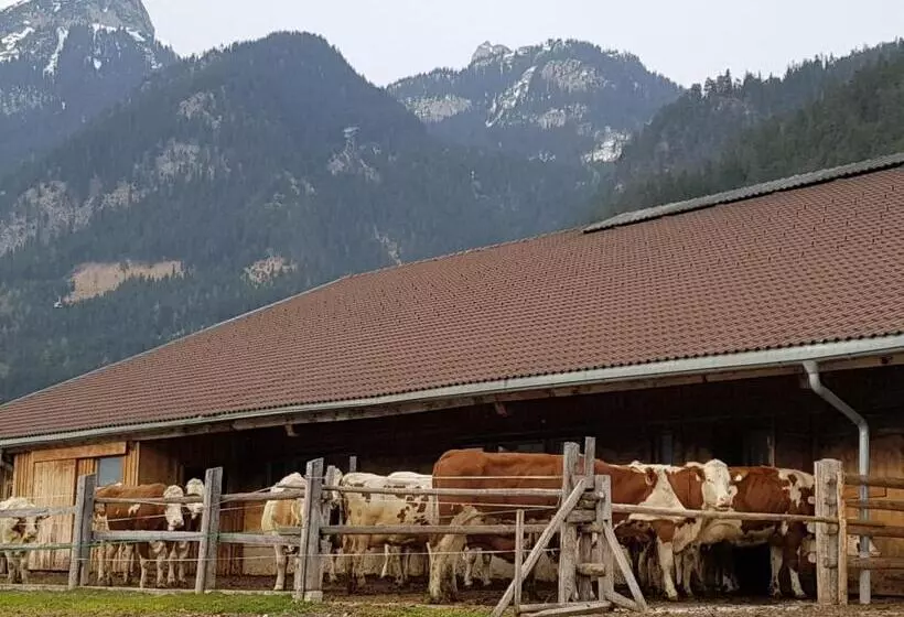 ホテル Haidacherhof