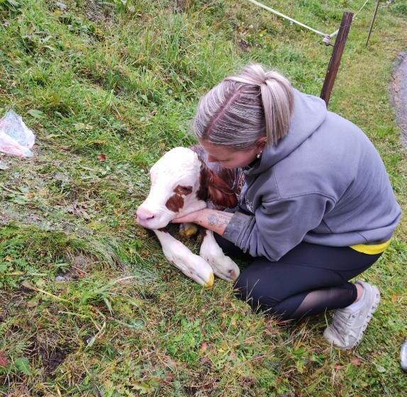호텔 Pension Fürhapter Mit Bio  Bauernhof