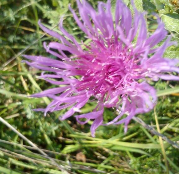 Pensjonat Mackólak Vendégház és ökoporta