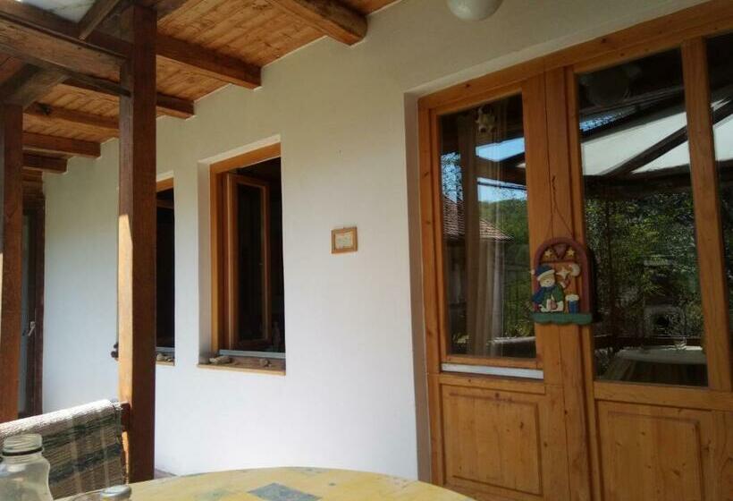 Pensjonat Mackólak Vendégház és ökoporta