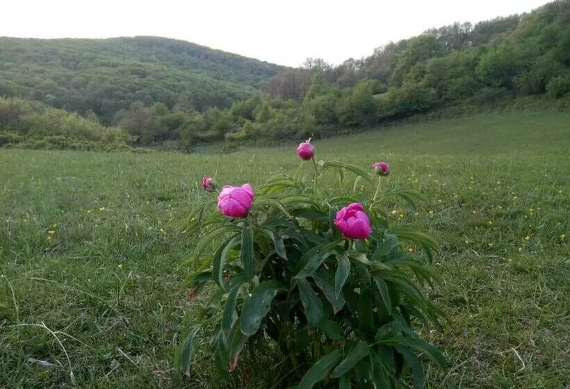 Majatalo Mackólak Vendégház és ökoporta