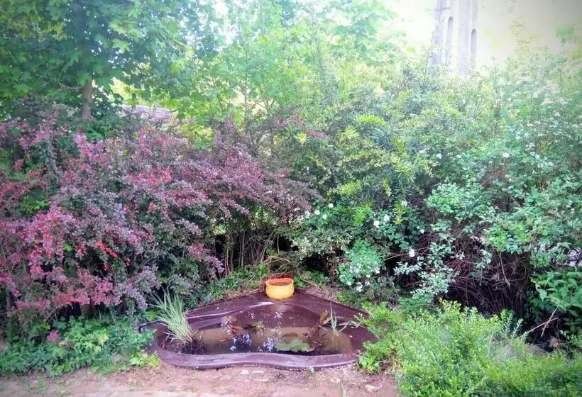 Majatalo Mackólak Vendégház és ökoporta