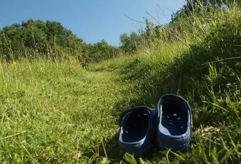 Majatalo Mackólak Vendégház és ökoporta