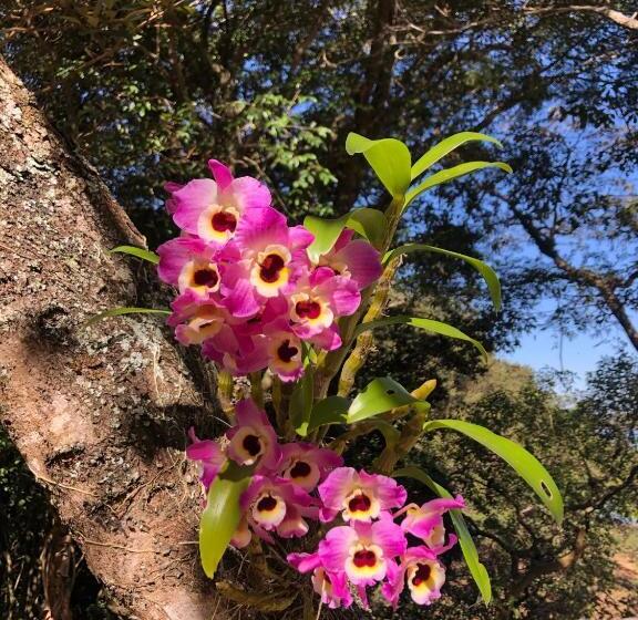 膳宿费 Pousada Ecológica Espelho D água