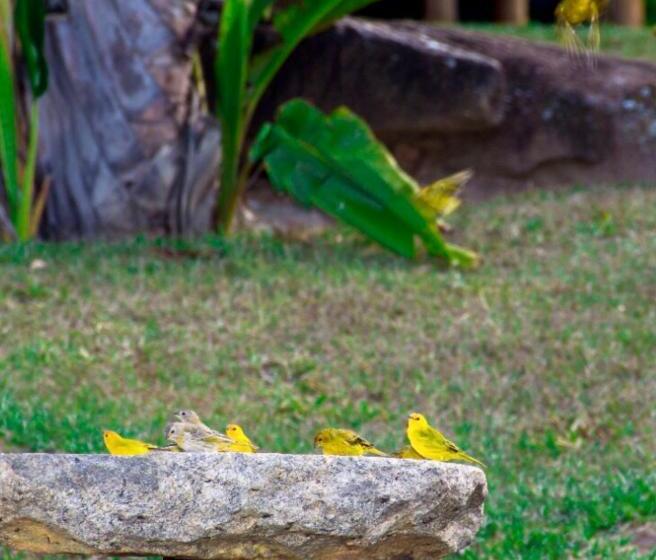 膳宿费 Pousada Ecológica Espelho D água