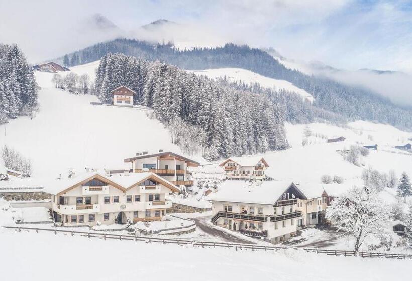 Xl Appartements Steinhaus