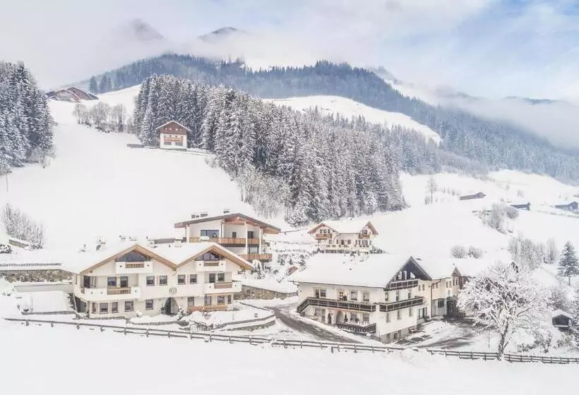 Xl Appartements Steinhaus