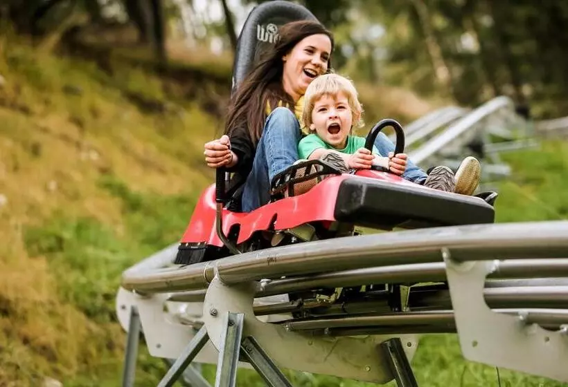 Xl Appartements Steinhaus