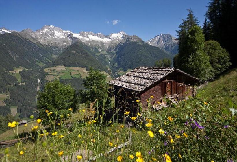 Xl Appartements Steinhaus