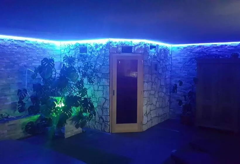 Xl Appartements Steinhaus