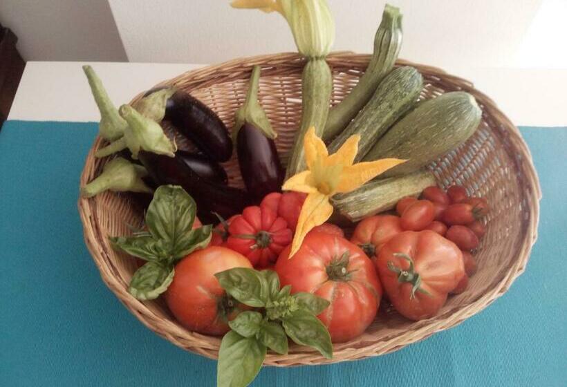 B&b Elfo Degli Ulivi