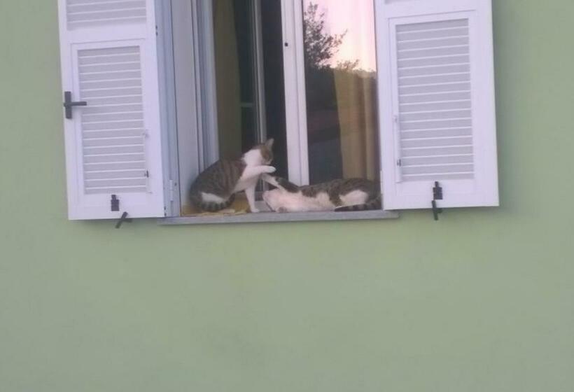 B&b Elfo Degli Ulivi