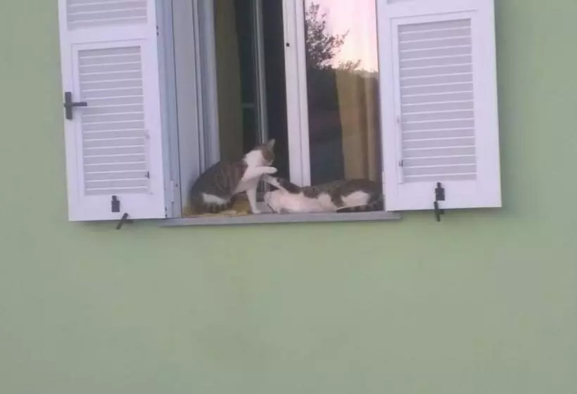 B&b Elfo Degli Ulivi