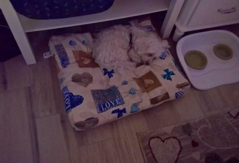 B&b Elfo Degli Ulivi