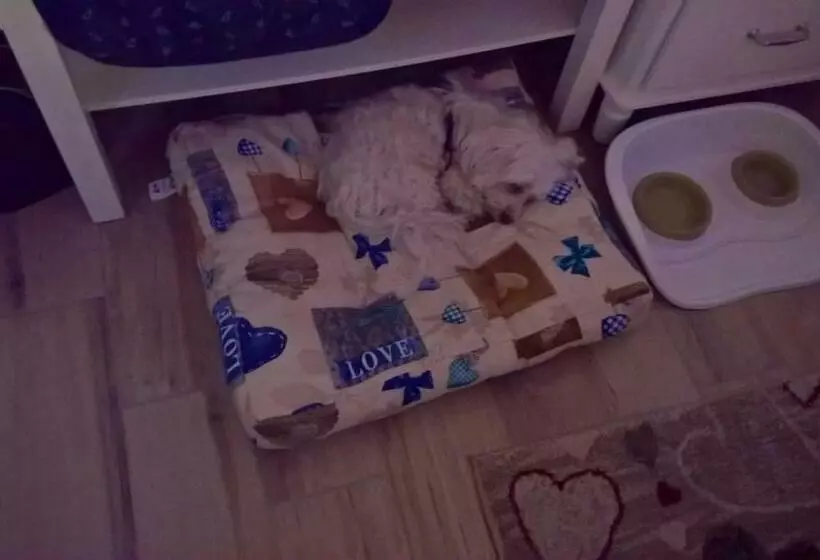 B&b Elfo Degli Ulivi