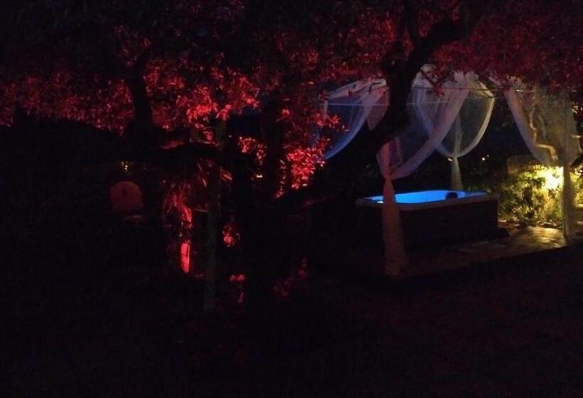 B&b Elfo Degli Ulivi