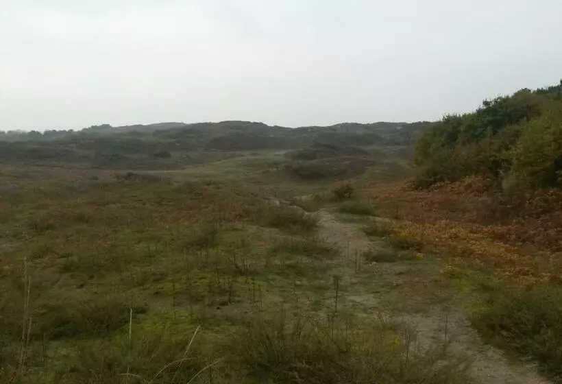 B&b Noordwijk Binnen