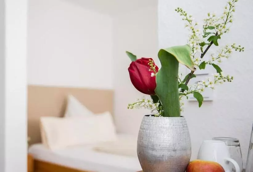 Aamiaismajoitus (B&B) Landhaus Alger