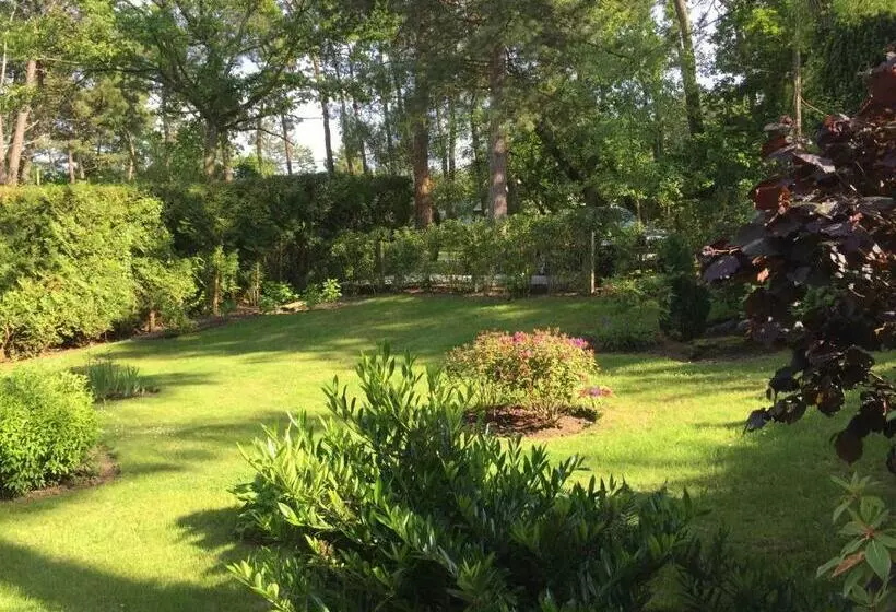 تختخواب و صبحانه Villa D Hôtes Graine De Pin