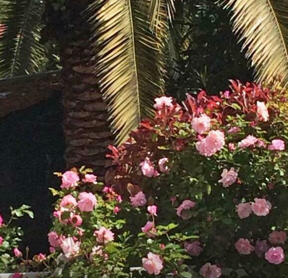 Bed and Breakfast Xokoan