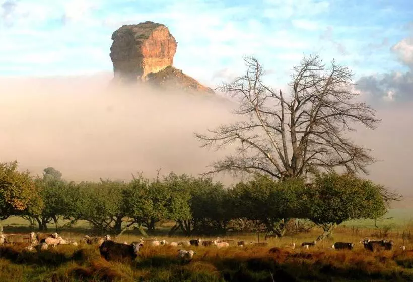 ホテル Oranje Guest Farm