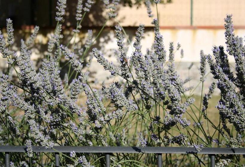 پانسیون Da Leo