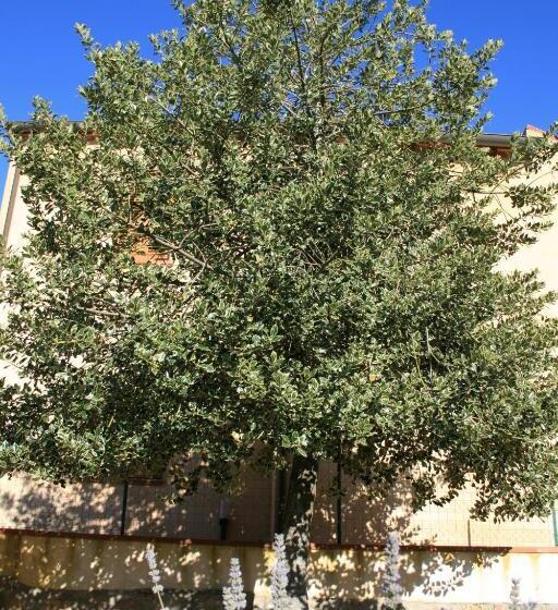 پانسیون Da Leo