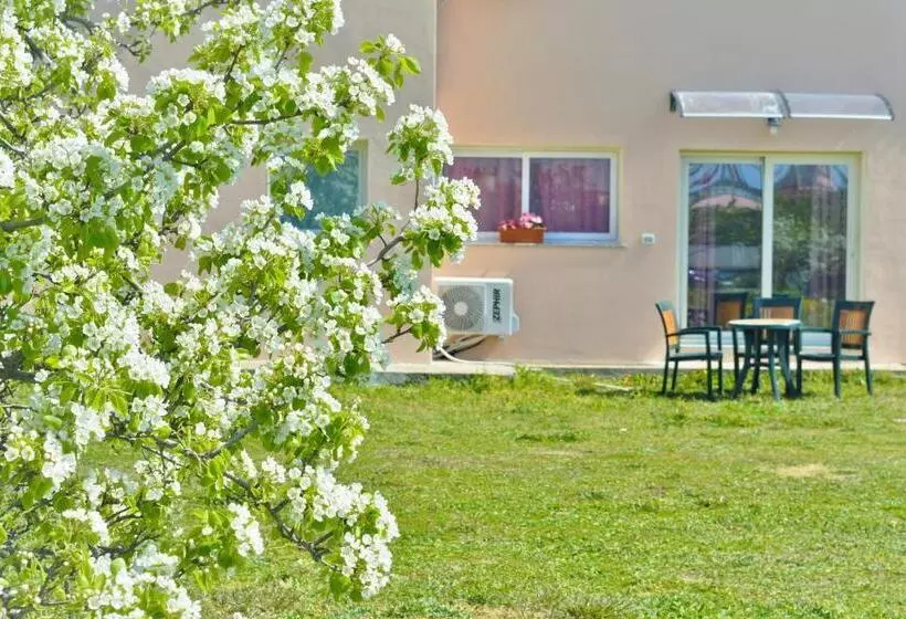 ペンション La Maison Di Zia Annina In Sardegna
