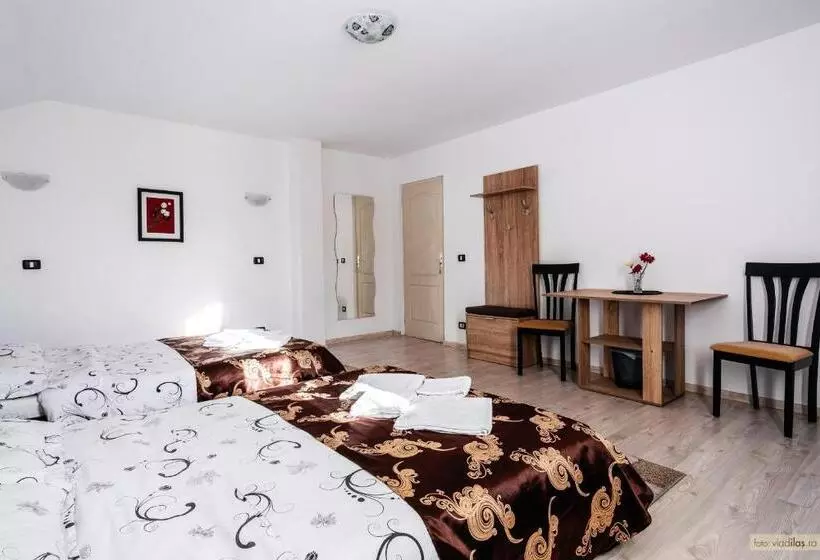 ペンション Sweet Home Bucovina Frasin Petreceri Private Si Majorate