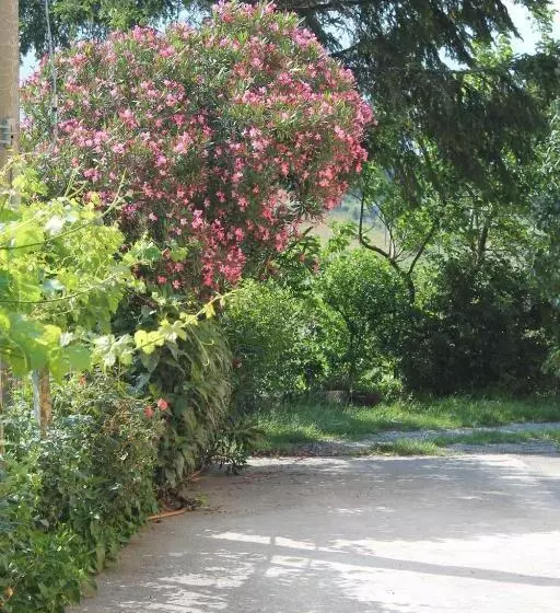 B&b Matilde