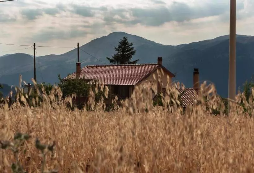 B&b Matilde
