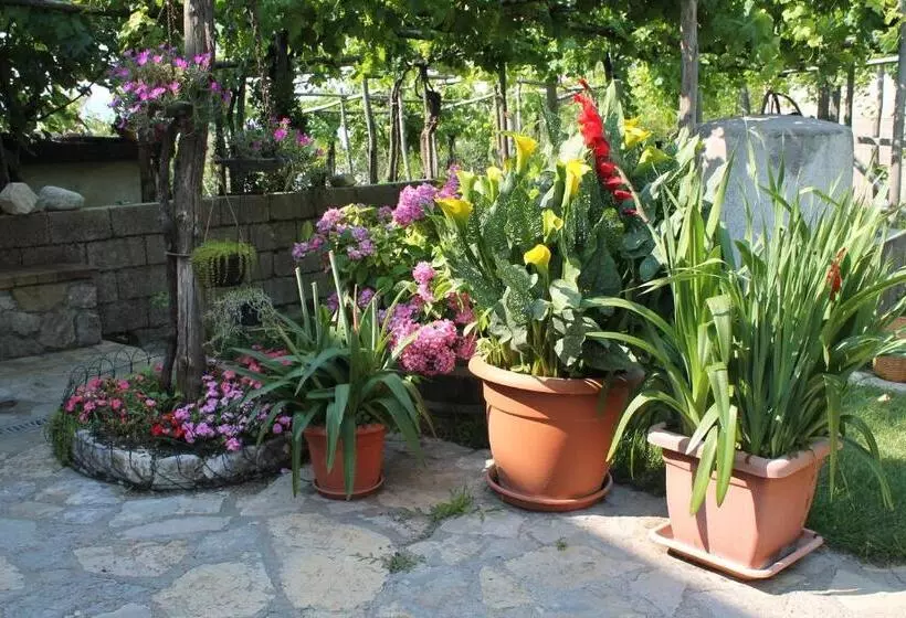 B&b Matilde