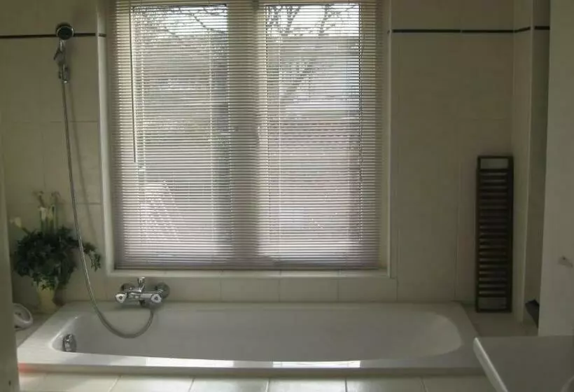 Aamiaismajoitus (B&B) My A Mi Go S