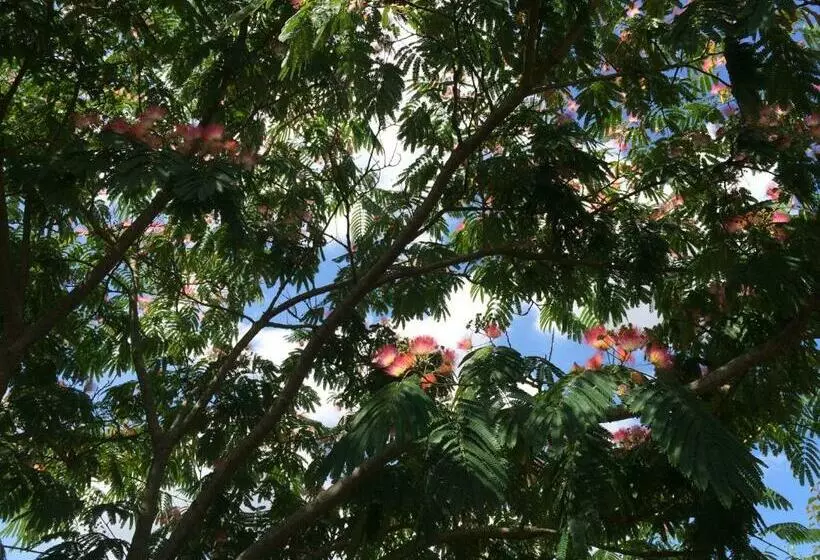 Aamiaismajoitus (B&B) Chambres D Hôtes De La Roche