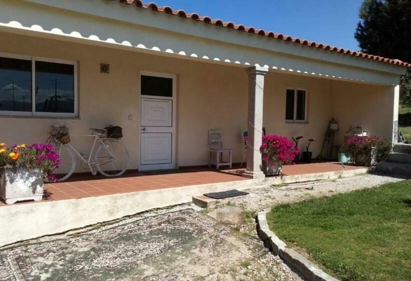 住宿加早餐  Quartos Em Vivenda Serra Da Estrela