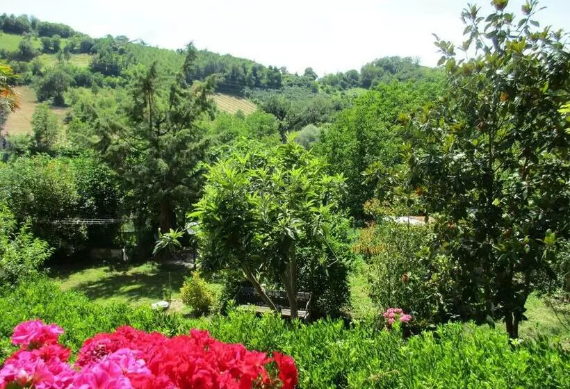 B&b Carboni