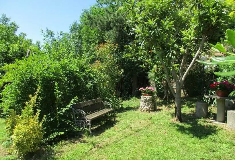 B&b Carboni