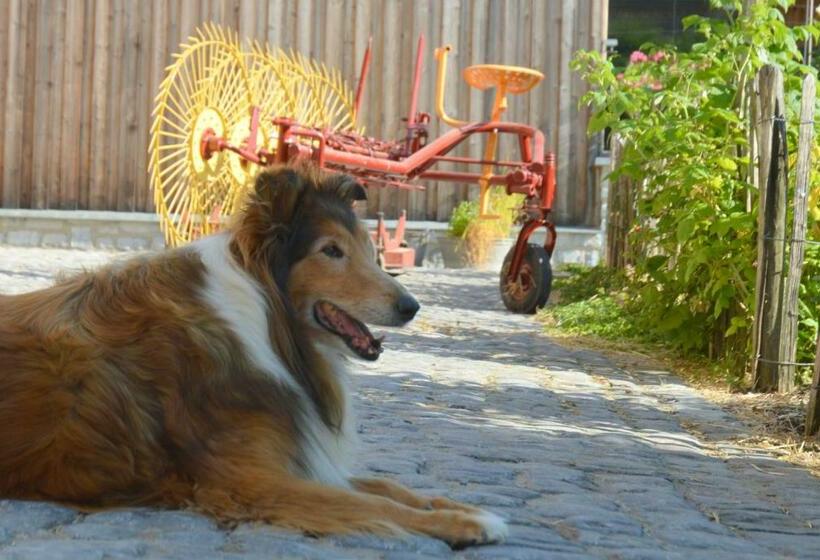 Aamiaismajoitus (B&B) Aux 4 Saules De 4 Wilgen