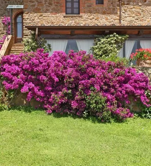 Aamiaismajoitus (B&B) Casale Giacomini