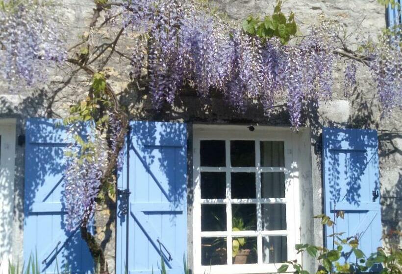 Bed and Breakfast Chat Noir Gite Et Chambre D Hotes