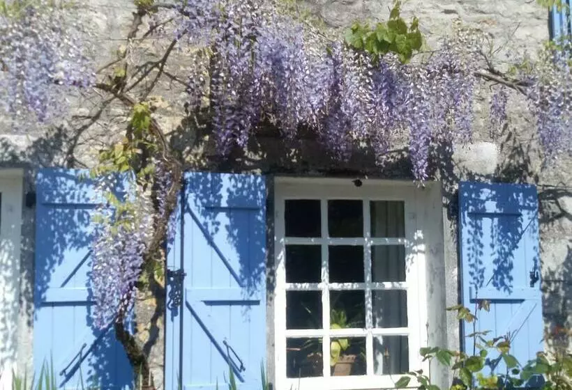 Aamiaismajoitus (B&B) Chat Noir Gite Et Chambre D Hotes