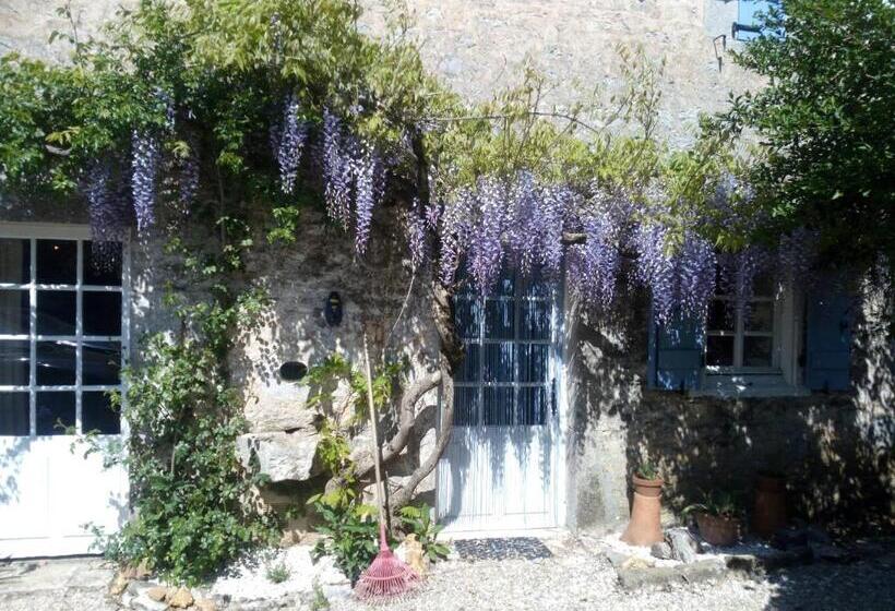 Bed and Breakfast Chat Noir Gite Et Chambre D Hotes