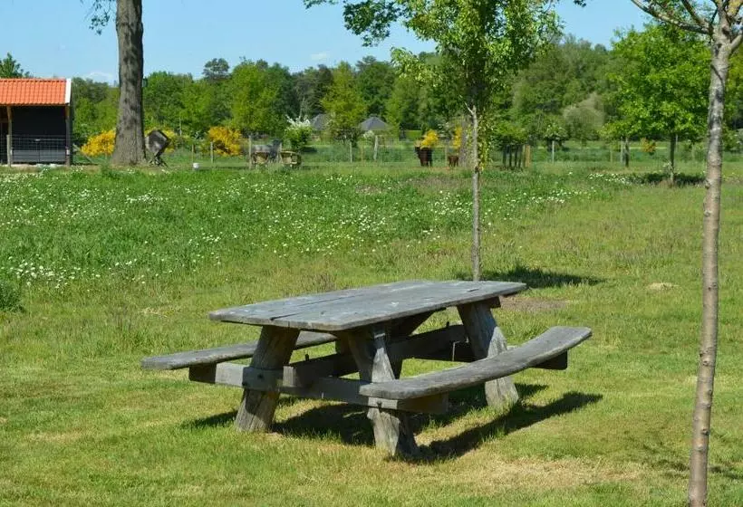 Aamiaismajoitus (B&B) Erve Grootenhuys