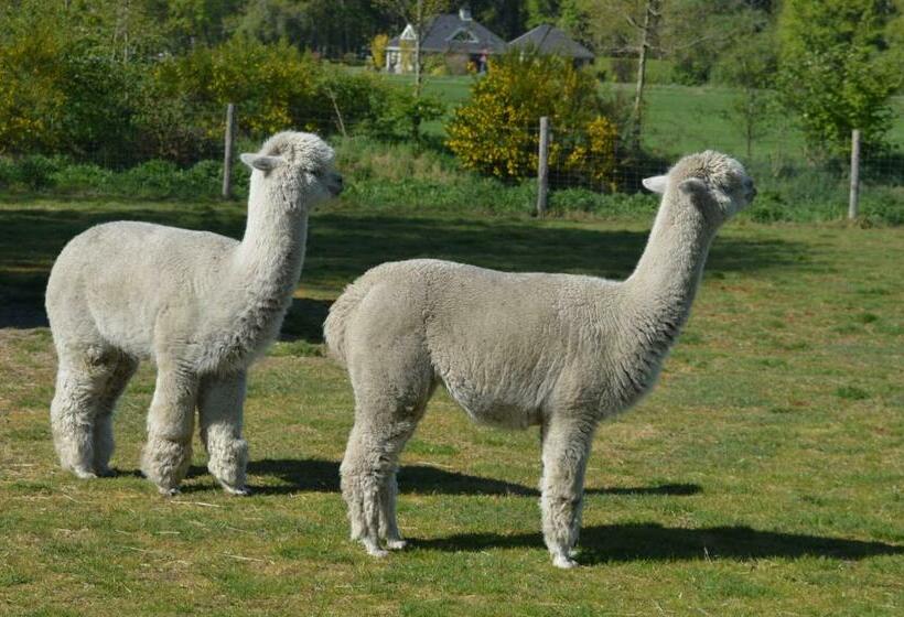 Bed and Breakfast Erve Grootenhuys