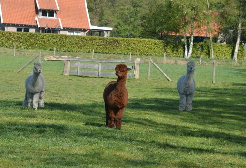 Bed and Breakfast Erve Grootenhuys