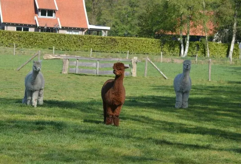 Aamiaismajoitus (B&B) Erve Grootenhuys