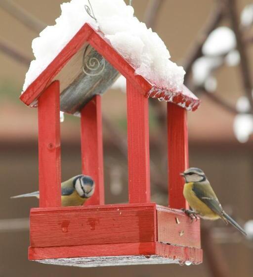 La Cuccagna Di Don Bosco No Landlords And Neighbours Absolute Privacy!