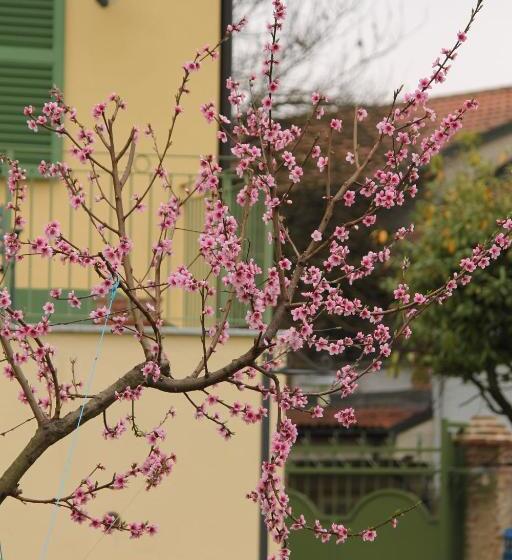 La Cuccagna Di Don Bosco No Landlords And Neighbours Absolute Privacy!