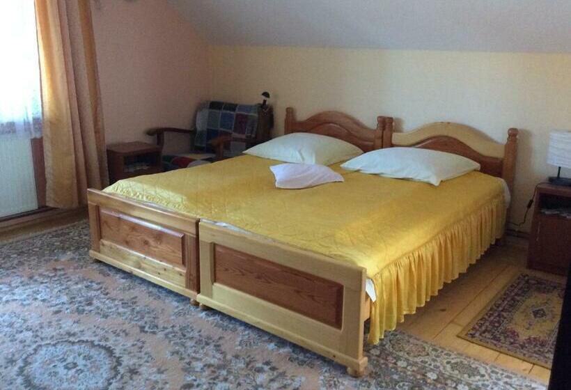 Пансион Casa Andrada & Ilinca