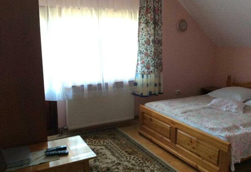 Пансион Casa Andrada & Ilinca